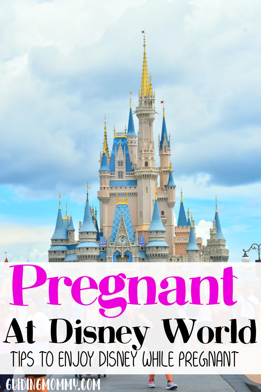 Pregnant at Disney World